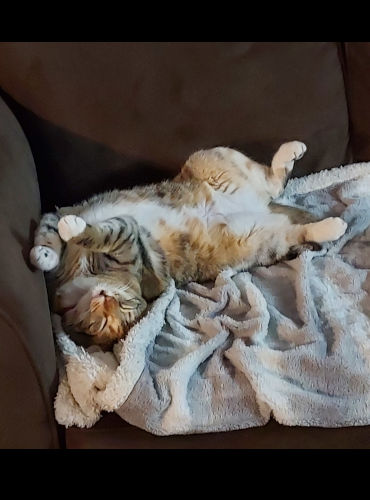 “Do NOT mess with me!”